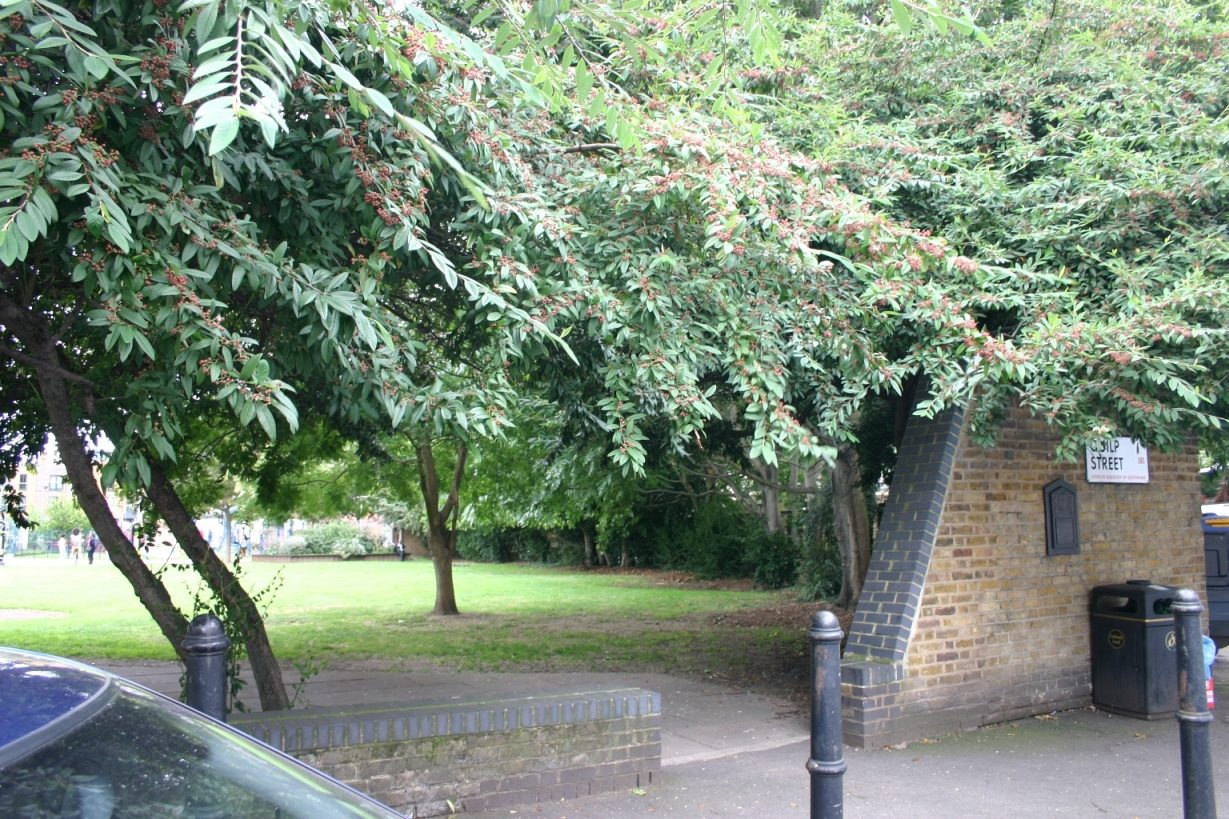 Evelina Hospital for Children's original site, London - 01.JPG